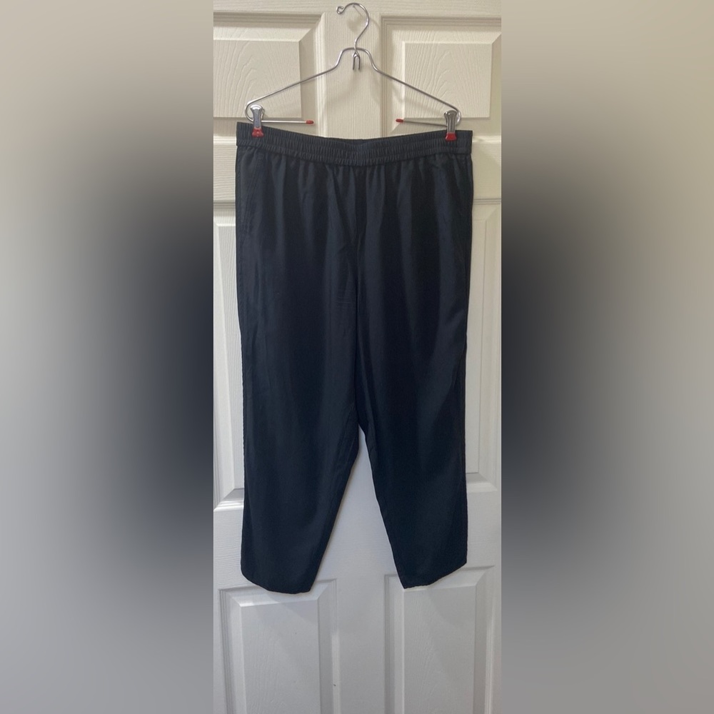 Madewell casual pants; size L